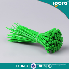 UL SGS Plastic Cable Tie with Label